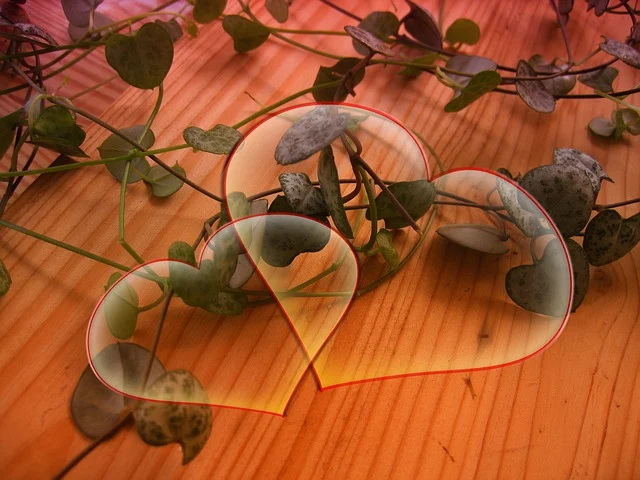 heart-81835_640